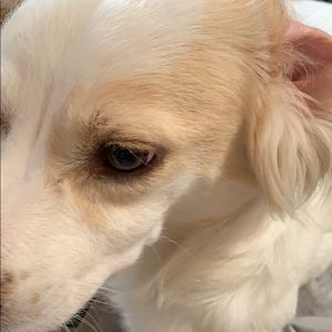 Meet your Posher, Nolan